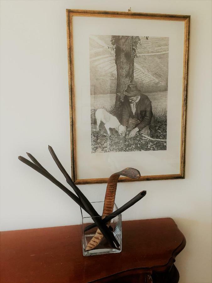 Casa "T" Apartment อัลบา ภายนอก รูปภาพ